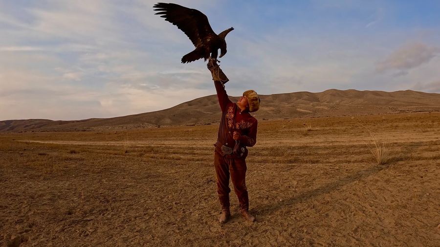 A golden eagle landing on the gloved arm of a hunter in traditional embroidered dress and a fur hat, alone on open steppe beneath bare hills.