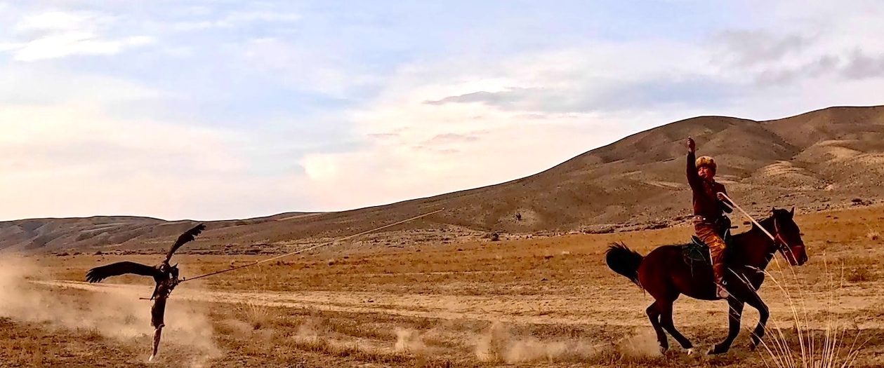 A golden eagle flying low across dry steppe towards a hunter at a gallop on horseback, dust rising behind the horse.